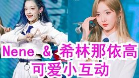 美人鱼的聚会